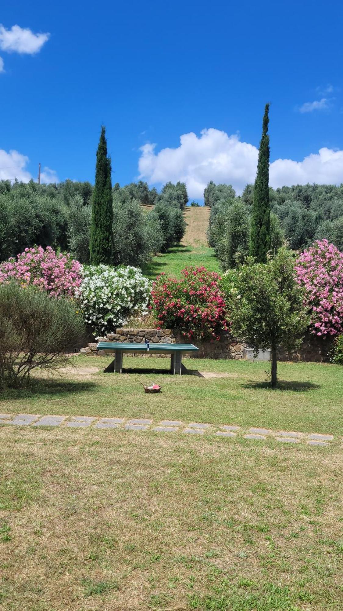 Agriturismo Podere Casalone Limite Εξωτερικό φωτογραφία